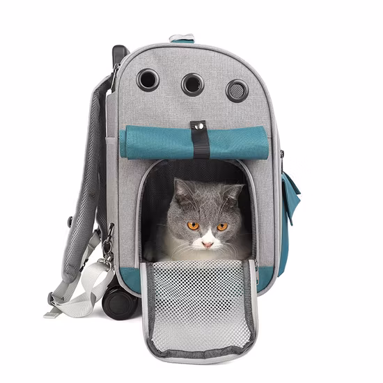 Hot Sale EVA Duffle Bag Trolley Built
